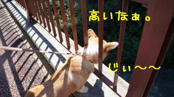 高いです~~