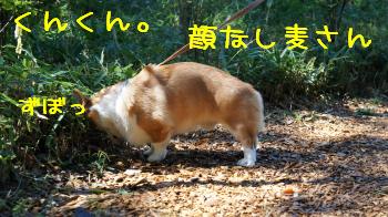 何かありましたか~