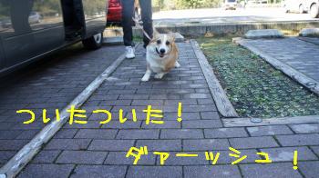 到着♪