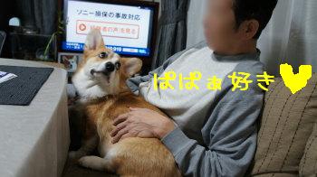 熱視線
