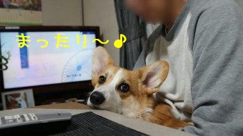 安心♪