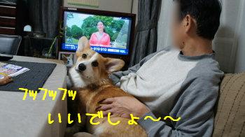 得意げ。