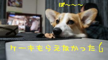 眠いよ~