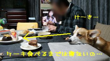 ぼくケーキ食べてない。