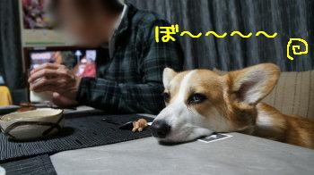 眠いけど頑張る。