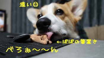 こらこら!