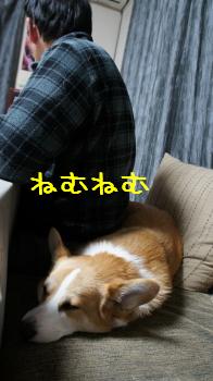 満足満足