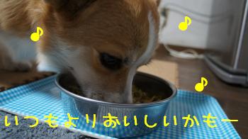瞬食