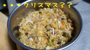 見た目いつもと変わらず