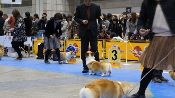 ⑭エミたんのおちり