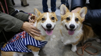 ⑧ちくわ&麦ブラザーズ