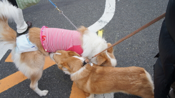 ②ご挨拶