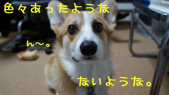 いろいろ。