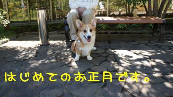 ぼくはね。