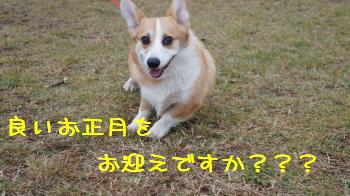 どう?