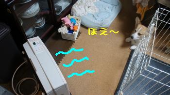 ほえ~。