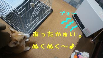 あったかい♪