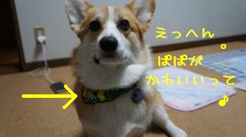 えへん。