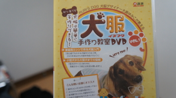 ほんとにやるのか?