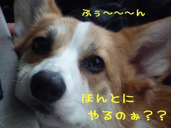 疑いのまなざし