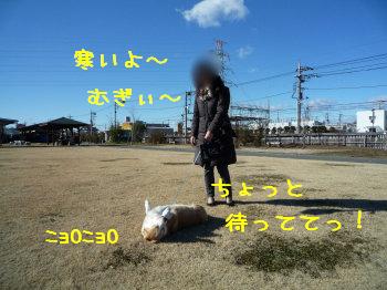 まだやる