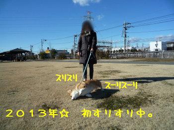初すりすり