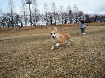 真剣なお顔