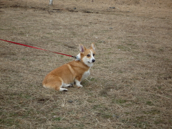 誰もいないね。