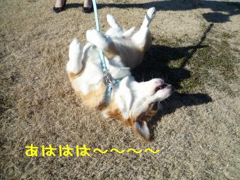 もうやめて!