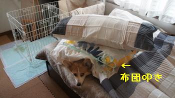 嫌がらせその4