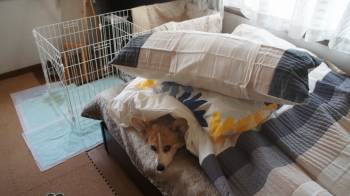 嫌がらせその3
