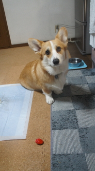 待てるんです。