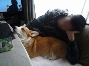 仲良くねんこ