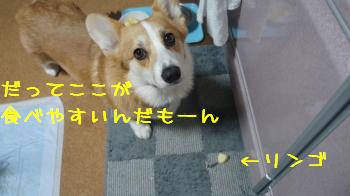 なぜそこで?