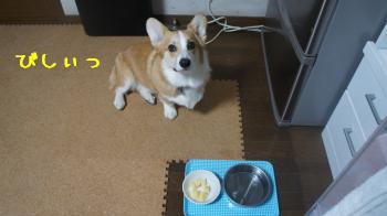 リンゴさん