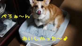 ぺろぉ~ん