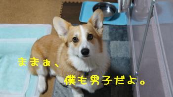 僕も男子です。