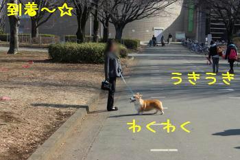 小金井公園到着