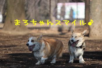 まろちゃん笑顔