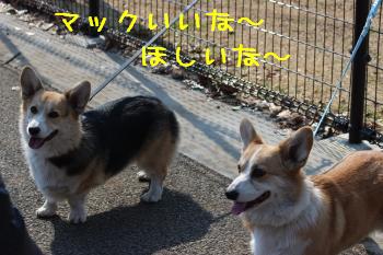 マックほしいぉ