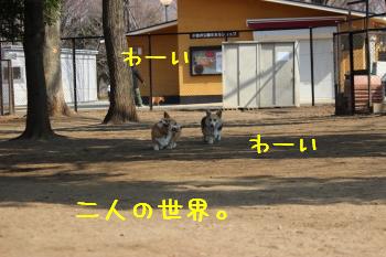仲良し
