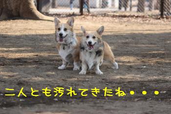 ドロドロな二人