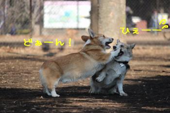 ひぇ~~~