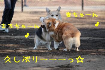 元気だったぁ?