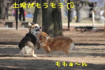 砂ほこりすごっ