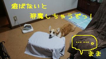 邪魔です・・・・