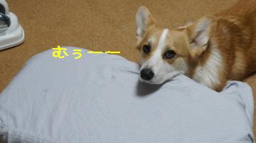 麦さん・・・・