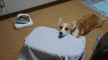 そこ・・・・