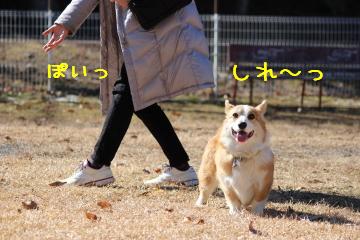 ボールを投げるまま。