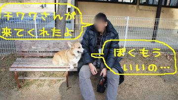 もういいです。